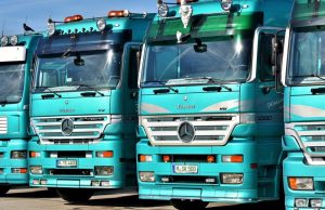 line of green cargo trucks