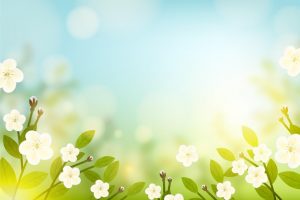 Spring sunshine in grass